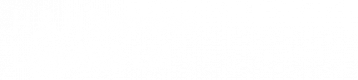 HNH Services Logo.png